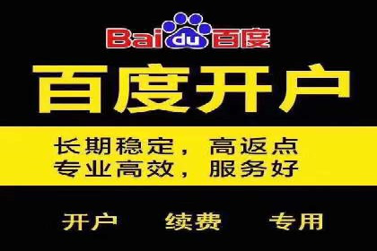 案例分析：高效信息流广告投放策略